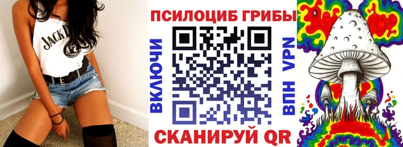 Псилоцибиновые грибы MAGIC MUSHROOMS  Пудож 